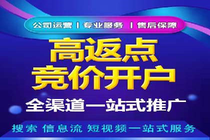 SEM推广实战案例：关键词优化与广告投放技巧